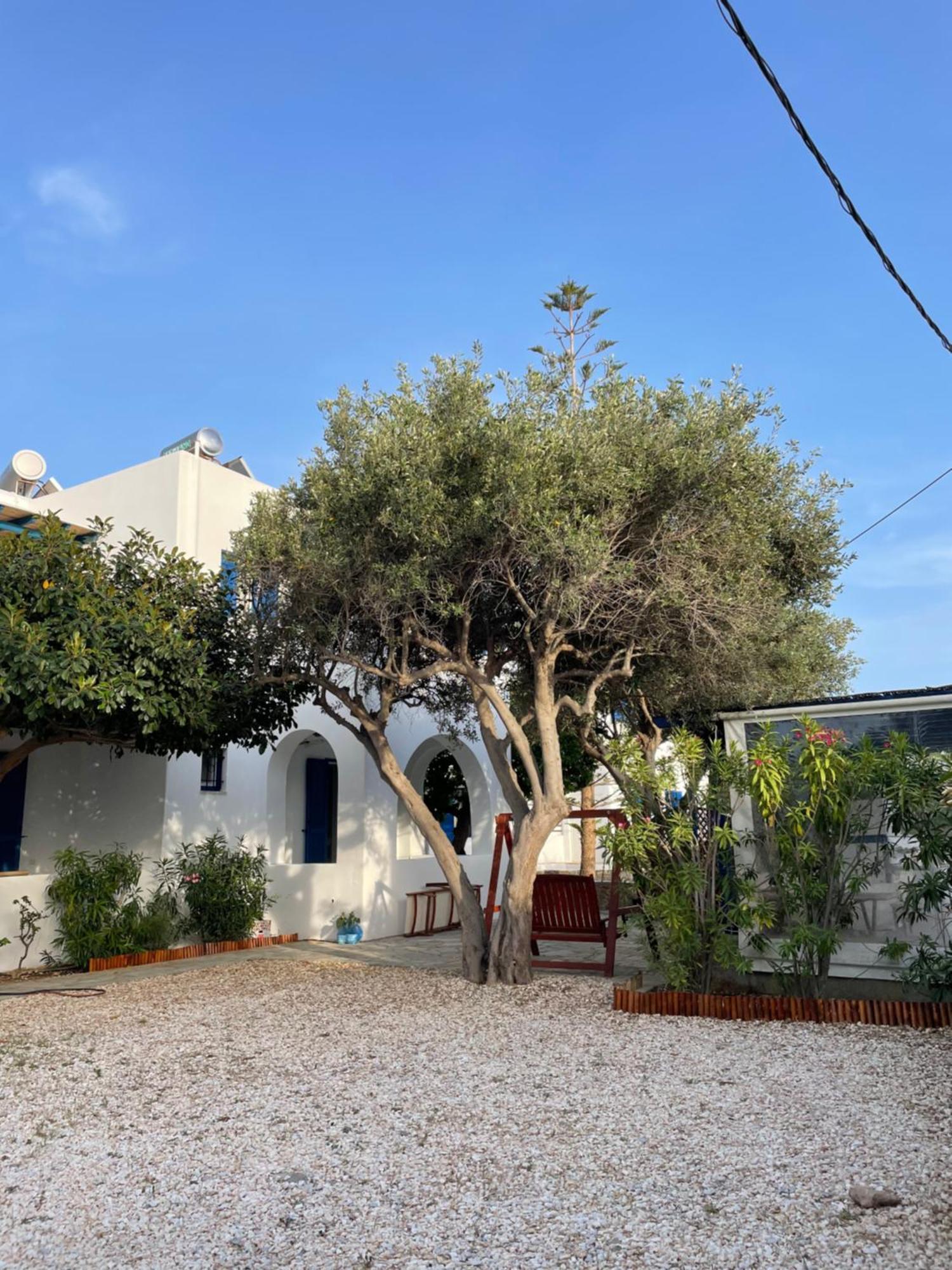 Villa Gelly'S Studios Alikí Exterior foto